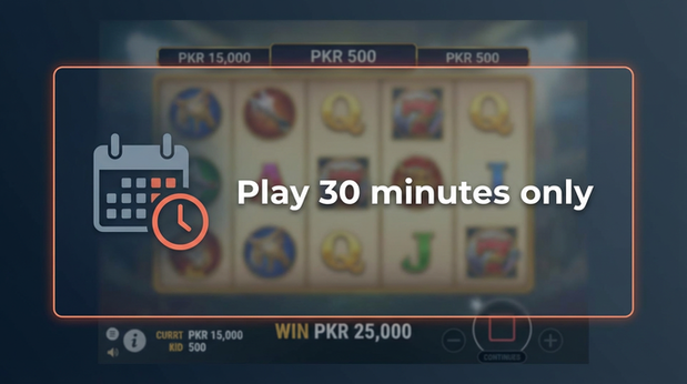 Payment and PKR controls in 9kboss - 6